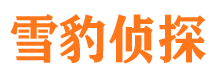 福建市侦探调查公司